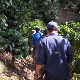 Plantation Finca Las Isabellas