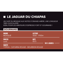 Fiche café du Jaguar du Chiapas