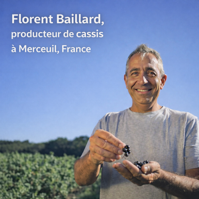 Florent, producteur français de cassis